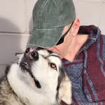 Brian Cork - @brian.cork.18 - Instagram