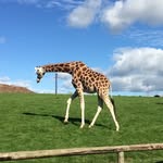 Bryan - @bryan_cork - Instagram