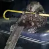 bryancorrigan171 - @bryancorrigan171 - TikTok