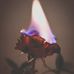 Bryan Cromer - Facebook