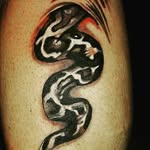 Bryan Cudmore - @cudman100 - Instagram
