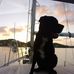 Bryan Cunningham - Facebook