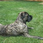 Bryan Dahl - @shelbie_and_claire_do_life - Instagram
