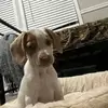 Dalton 🤫🧏‍♂️ - @dalton.bryan3 - TikTok