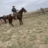 Dalton Bryan - @dalton.bryan5 - TikTok