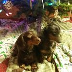 Bryan Devine - @bryan.devine.54 - Instagram