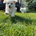 Brian Dewar - Facebook
