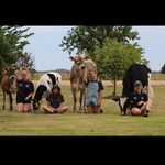 Bryan Dickson - @bryan.dickson.5496 - Instagram