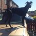 Bryan Dixon - Facebook