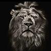 Brian Dolph - @brian_dolph - TikTok