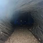 Bryan Dube - @bryan_080710 - Instagram