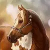 bryandurham2 - @bryandurham2 - TikTok