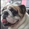 Bryan Dwyer - @bryan.dwyer7 - TikTok