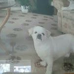 Brian Eaves - @eavesbrian - Instagram