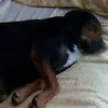 bryaneaves1 - @bryaneaves1 - TikTok