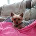 Bryant Eaves - Facebook