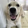 bryaneckman119 - @bryaneckman119 - TikTok