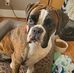 Brian Engler - Facebook