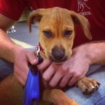Brian Engler - @brian.engler - Instagram