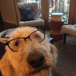 Bryan Engler - @mrengler - Instagram