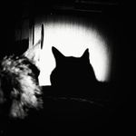 Bryan Evert - @bry_ev3 - Instagram