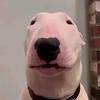 Bryan Fairchild - @bryan.fairchild6 - TikTok