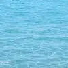 giovanna - @bryan.farris1234 - TikTok