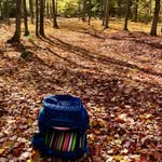Brian Favreau - @bfavs_discgolf - Instagram