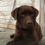 Bryan Favreau - @favreau_bryan - Instagram