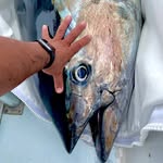 Bryan Forbes - @big_tuna74 - Instagram