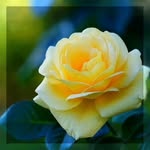Bryan Forbes - @bryanforbes3 - Instagram
