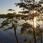 Bryan Forrestal - @bryanforrestal - Instagram