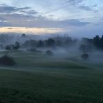 Bryan Frank - @bryan_frank - Instagram