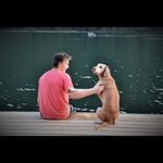 Bryan Fraser - @bryan__fraser - Instagram