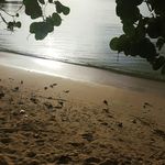 Bryan Fraser - @bryan_ganga - Instagram