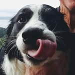 Brian Friend - @friendlee44 - Instagram