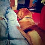 Bryan Friend - @ansignsanddesign - Instagram