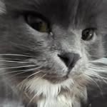 Bryan Friend - @squirpzz - Instagram