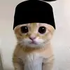 Bryan furry - @bryanfurry6 - TikTok