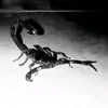 BryanGarces - @bryan...garces - TikTok