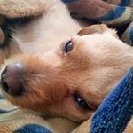 Bryan Gauthier - @dakota4673 - Instagram