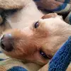 bryangauthier810 - @bryangauthier810 - TikTok