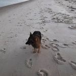 Bryan Gillespie - @bryan.gillespie.589 - Instagram