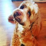 Bryan Gillespie - @drak3n_bg - Instagram