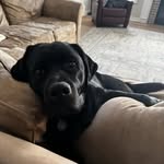 Bryan Green - @blgreen9 - Instagram