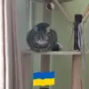 Bryan Griffiths - @bryan.griffiths2 - TikTok