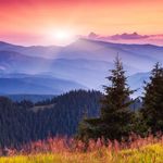 Bryan Groves - @bryangroves0326 - Instagram