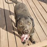Bryan Gustafson - @bryan.gustafson.98 - Instagram