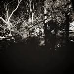 Bryan - @bryanguynes - Instagram