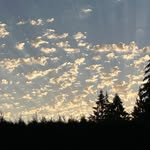 Bryan Kenneth Krause - @bryanguy8383 - Instagram